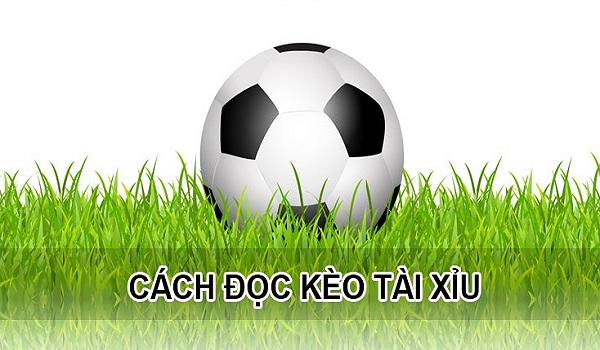 Cách đọc kèo tài xỉu trong bóng đá cho người mới