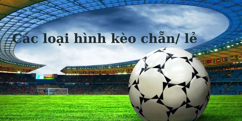 Các loại hình kèo chẵn/ lẻ phổ biến hiện nay