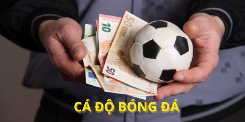 Đôi nét về cá độ bóng đá