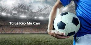 Các tỷ lệ cá cược Macao thịnh hành