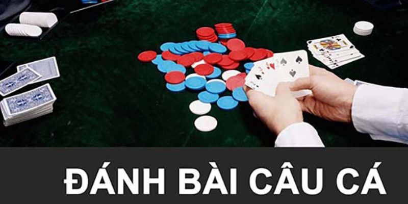 Giới thiệu về game bài câu cá 