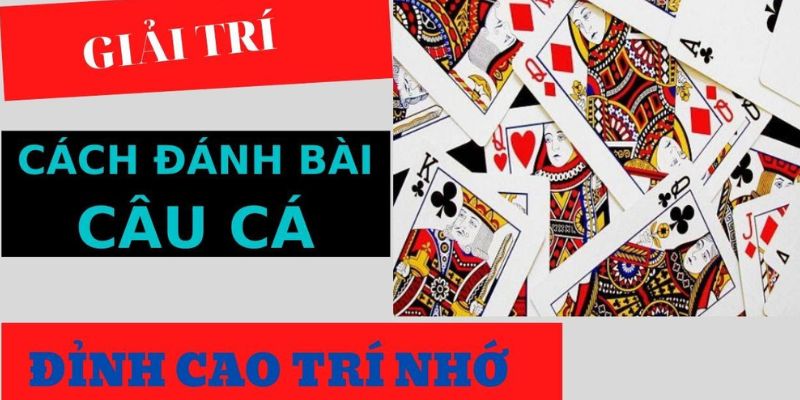 Không nên chơi game bài câu cá theo cảm tính