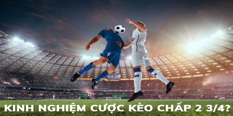 Mẹo đặt cược hiệu quả dành cho người chơi