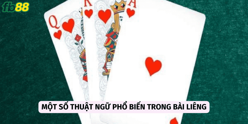 Những thuật ngữ mà anh em nên nắm vững 