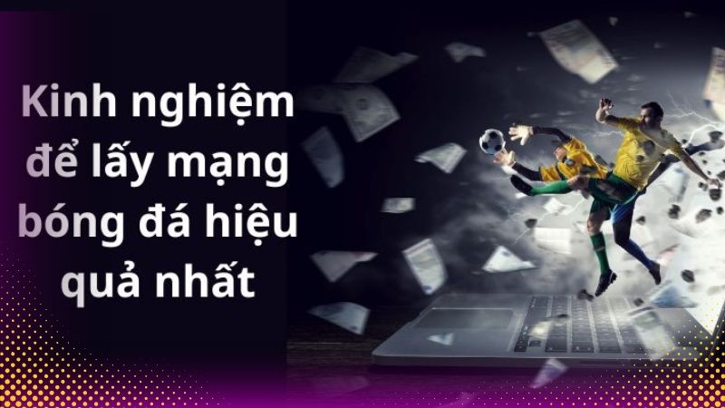 Kinh nghiệm lấy mạng bóng đá hiệu quả.