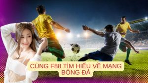 Tìm hiểu định nghĩa mạng bóng đá là gì?