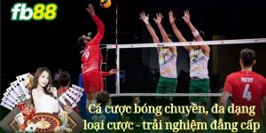 Cá cược bóng chuyền, đa dạng loại cược - trải nghiệm đẳng cấp